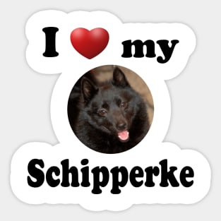 I Love My Schipperke Sticker